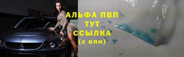 дмт Богданович